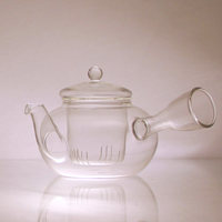 Tea Pot with the nozzle